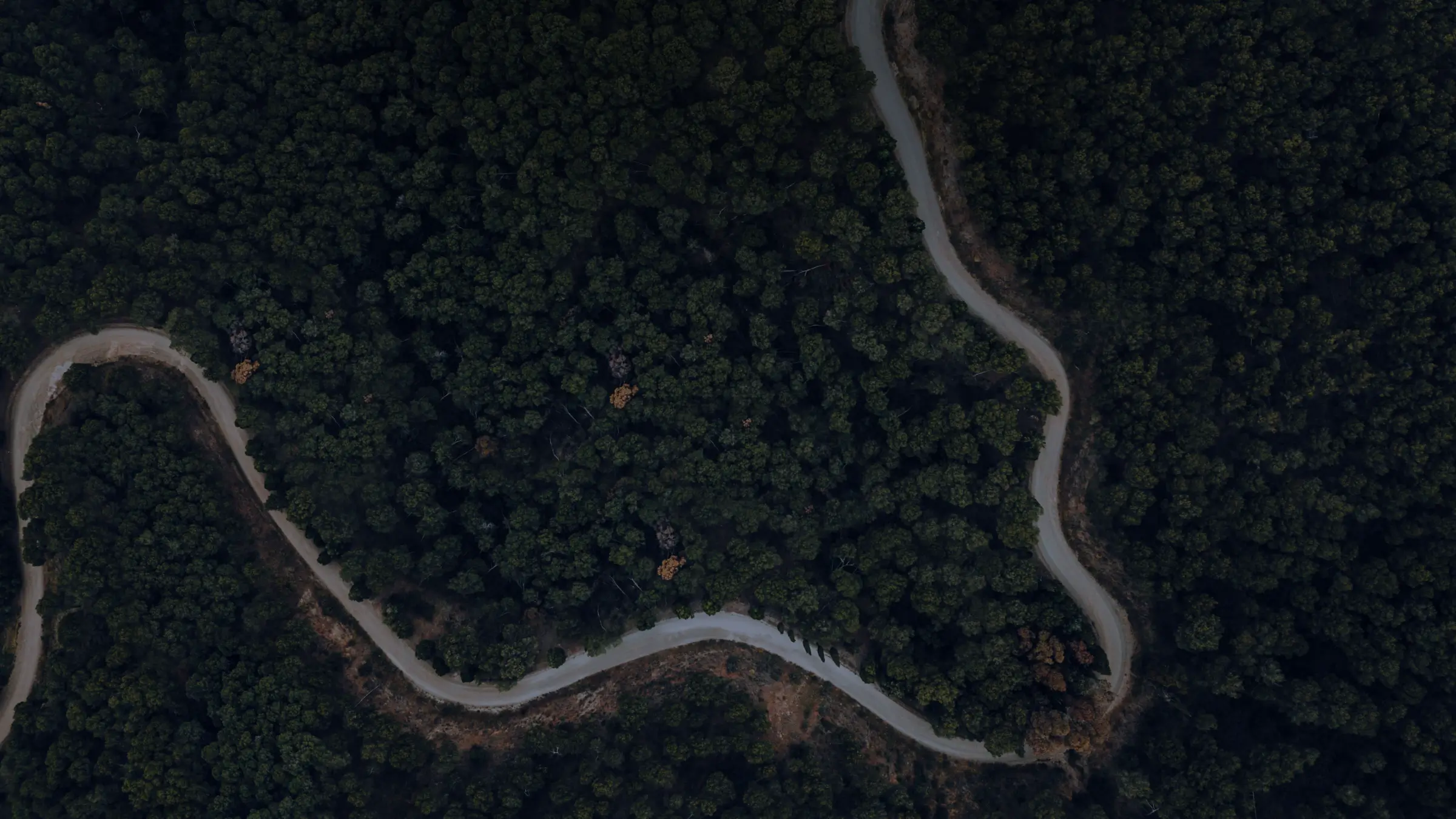 menu background