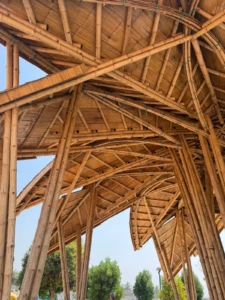 LOTUS PAVILION