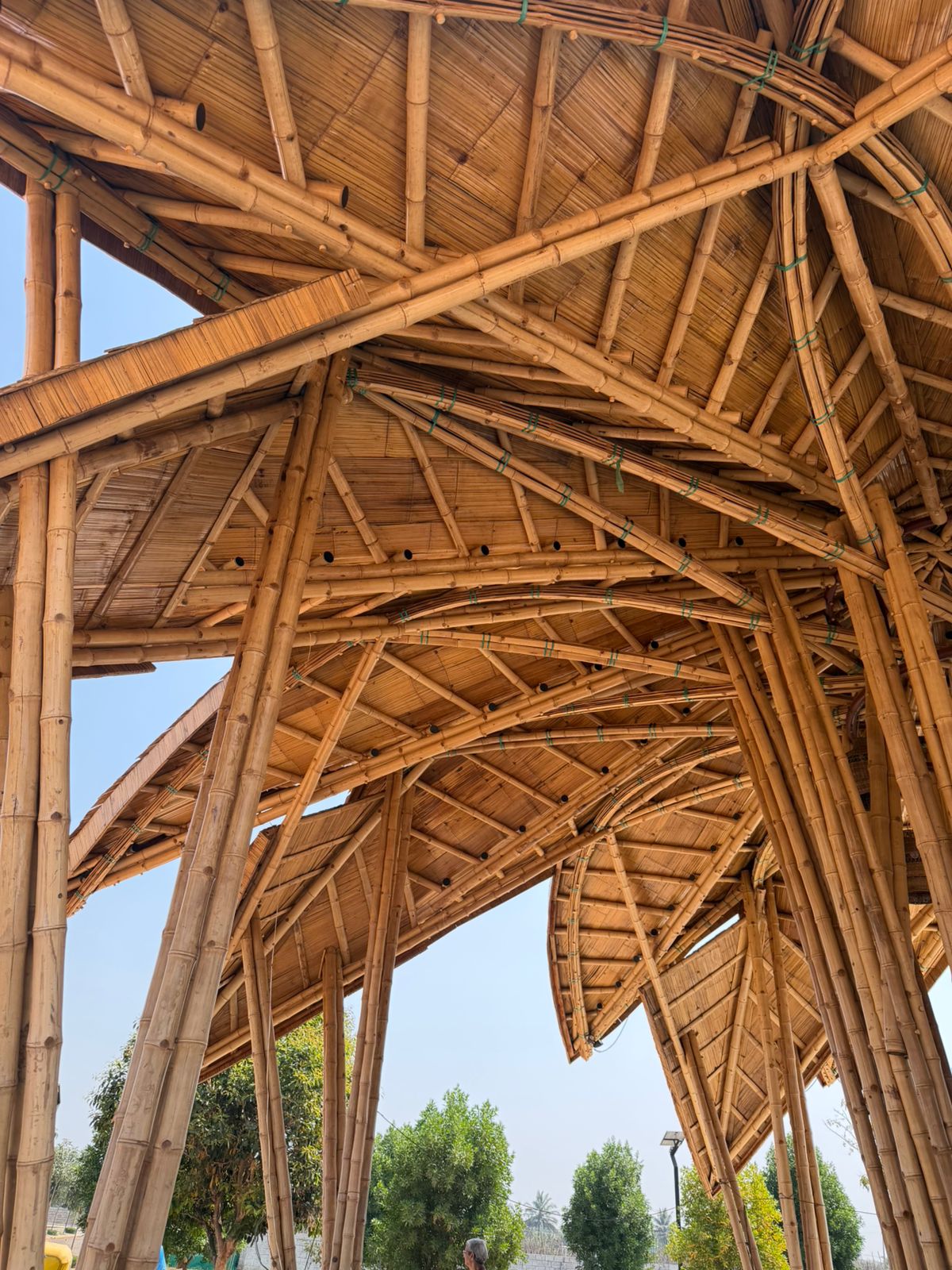LOTUS PAVILION