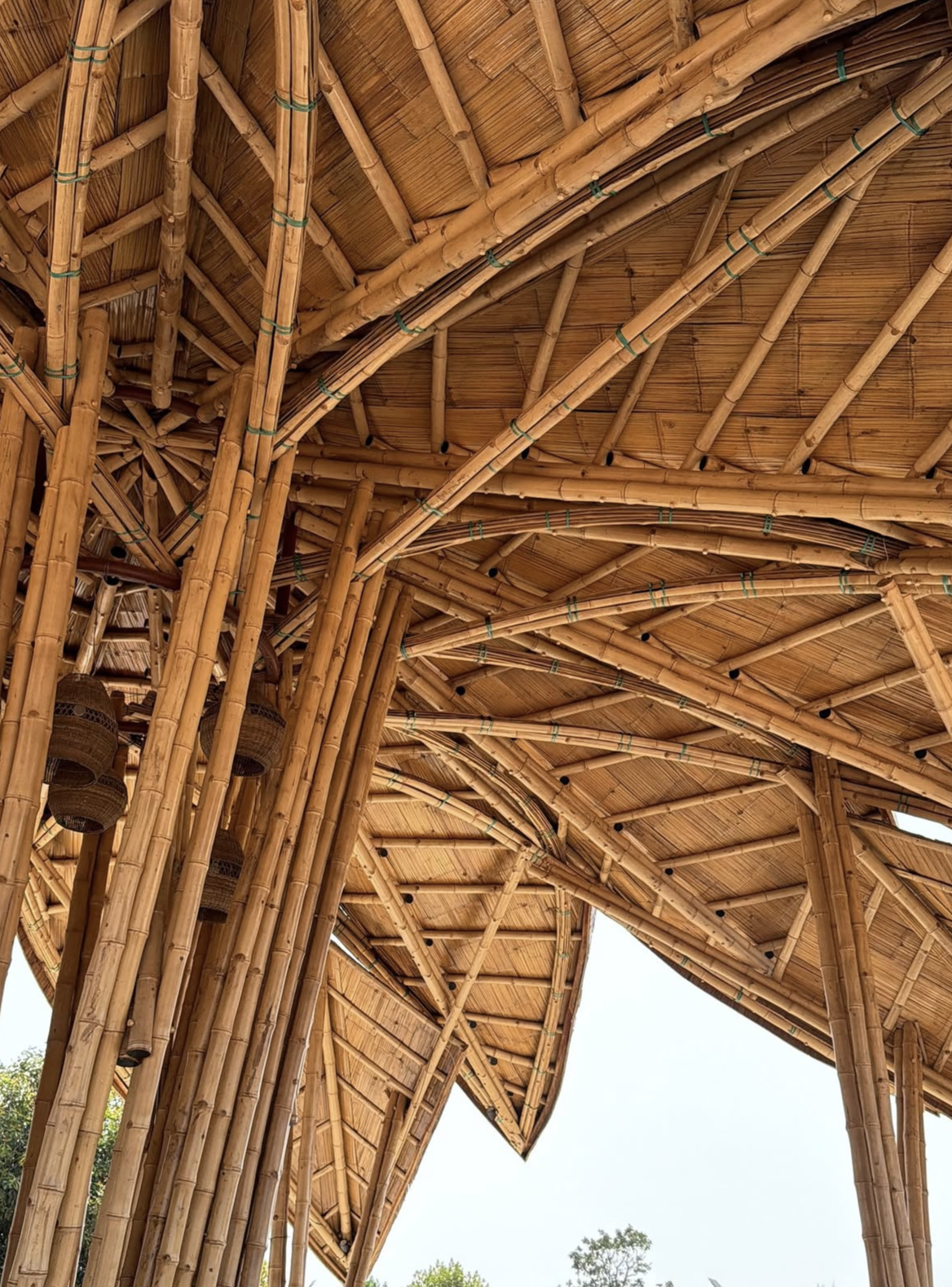 LOTUS PAVILION