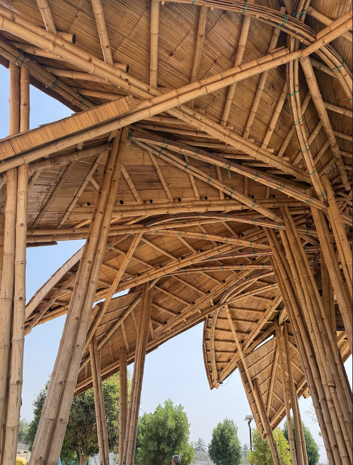 LOTUS PAVILION